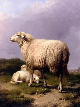 unknow artist Sheep 142